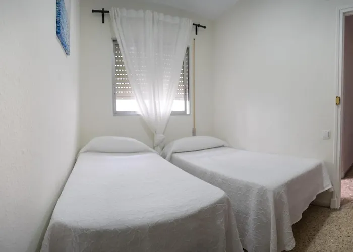 Delfin Playa Basic Ha