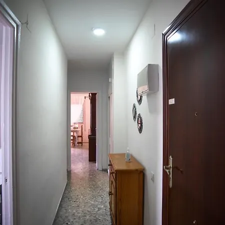 Delfin Playa Basic Ha