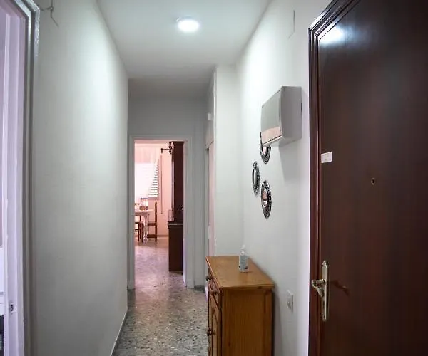 Delfin Playa Basic Ha